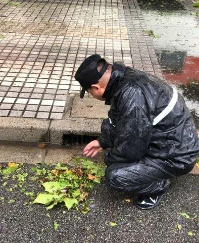 16号台风最新动态：平安同行，风雨共度