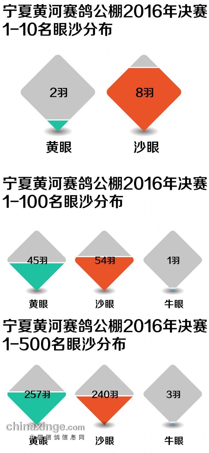 宁夏黄河赛鸽公棚最新信息发布