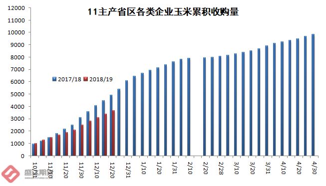 玉米市场最新行情与未来趋势展望