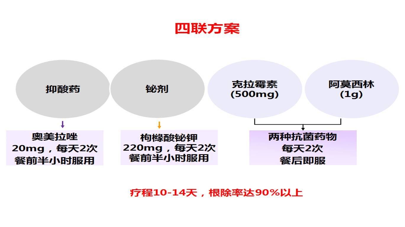 2024四联疗法最新推荐剂量