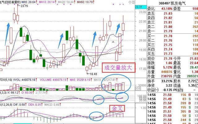 常山股份最新动态解读：深度剖析市场焦点与公司资讯