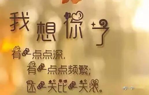 今日精选：个性网热门动态精选语录