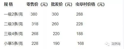 最新虫草市场动态揭秘：行情走势全解析